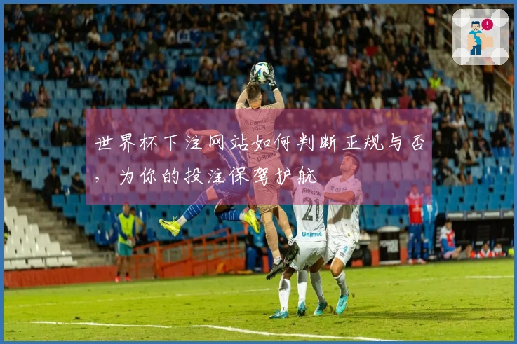 世界杯下注网站如何判断正规与否，为你的投注保驾护航