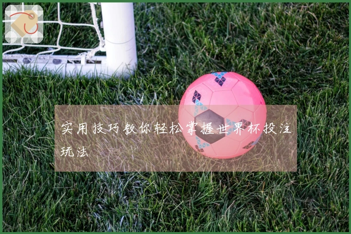实用技巧教你轻松掌握世界杯投注玩法