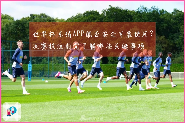世界杯竞猜APP能否安全可靠使用？决赛投注前需了解哪些关键事项