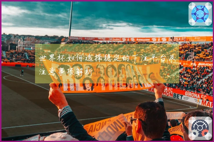 世界杯如何选择稳定的下注平台及注意事项解析