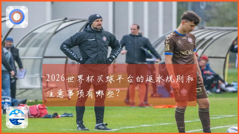 2026世界杯买球平台的返水规则和注意事项有哪些？