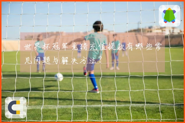 世界杯冠军竞猜充值提款有哪些常见问题与解决方法？