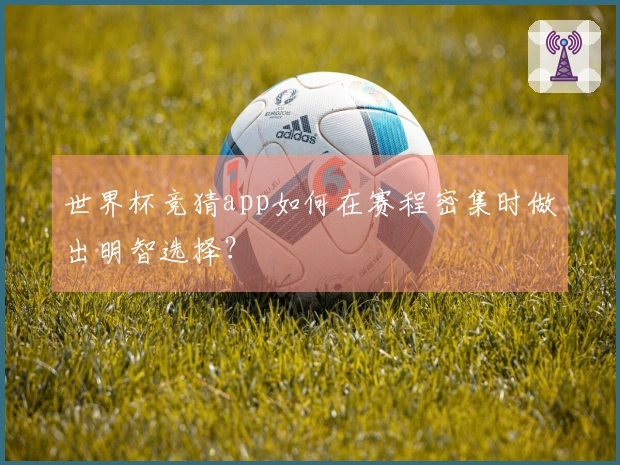 世界杯竞猜app如何在赛程密集时做出明智选择？