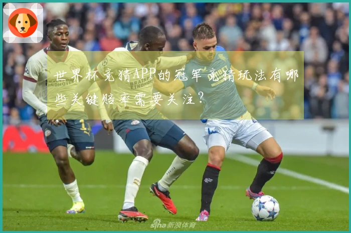 世界杯竞猜APP的冠军竞猜玩法有哪些关键赔率需要关注？