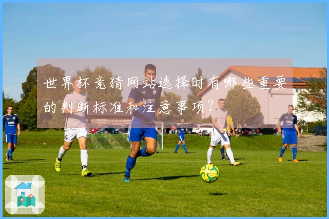 世界杯竞猜网站选择时有哪些重要的判断标准和注意事项？