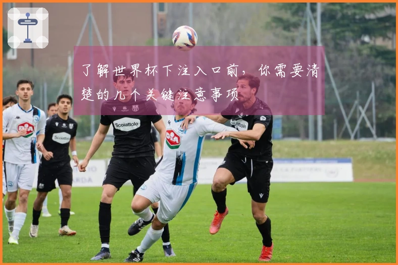 了解世界杯下注入口前，你需要清楚的几个关键注意事项