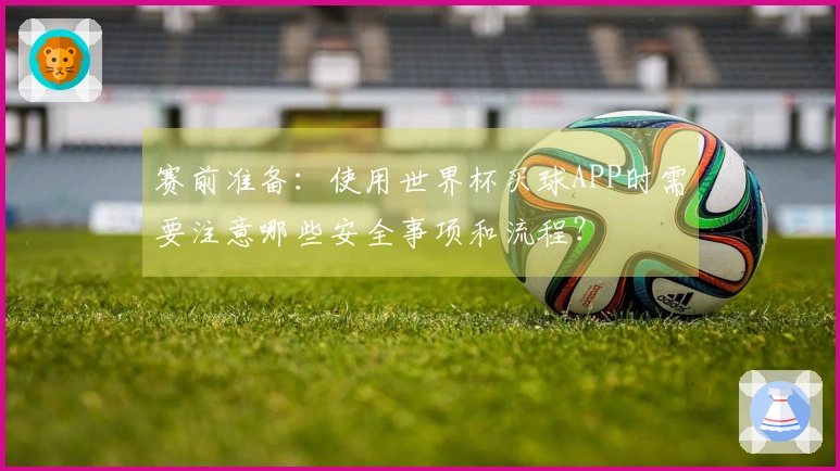 赛前准备：使用世界杯买球APP时需要注意哪些安全事项和流程？