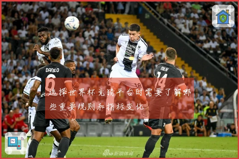 选择世界杯竞猜平台时需要了解哪些重要规则和指标变化