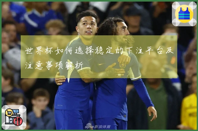 世界杯如何选择稳定的下注平台及注意事项解析