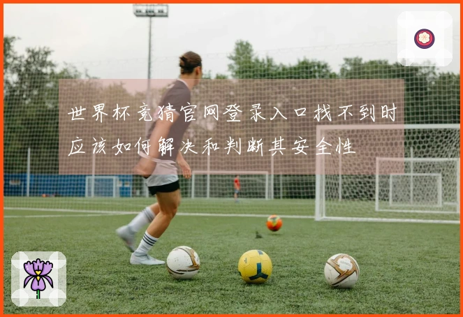 世界杯竞猜官网登录入口找不到时应该如何解决和判断其安全性