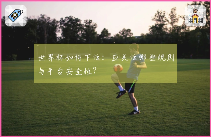 世界杯如何下注：应关注哪些规则与平台安全性？
