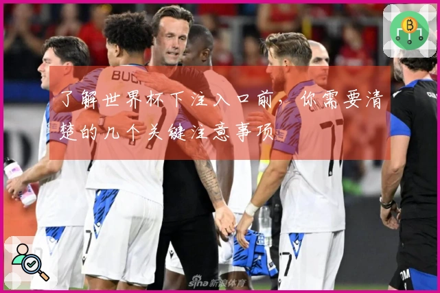 了解世界杯下注入口前，你需要清楚的几个关键注意事项
