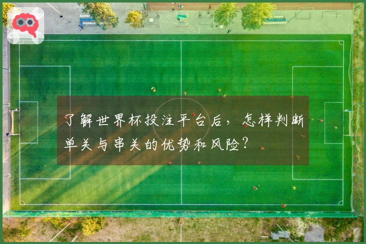 了解世界杯投注平台后，怎样判断单关与串关的优势和风险？