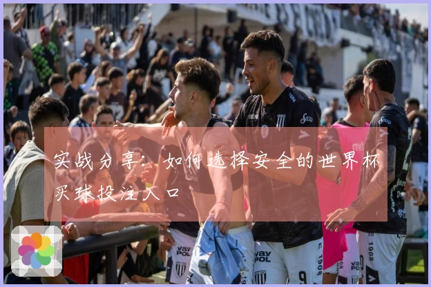 实战分享：如何选择安全的世界杯买球投注入口