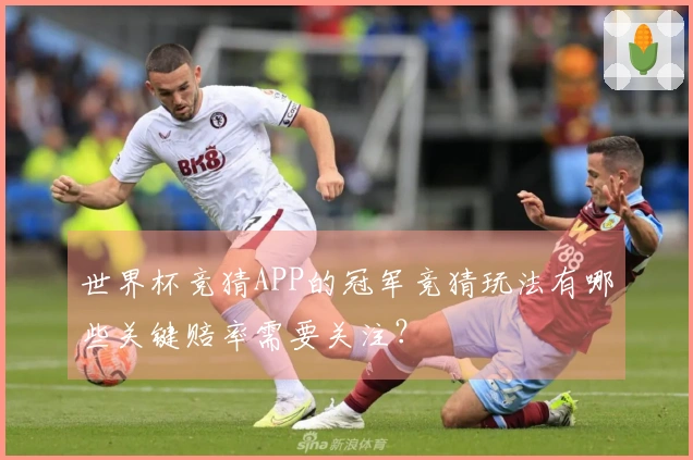 世界杯竞猜APP的冠军竞猜玩法有哪些关键赔率需要关注？