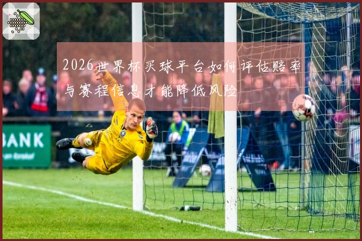 2026世界杯买球平台如何评估赔率与赛程信息才能降低风险