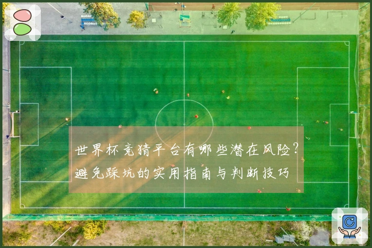世界杯竞猜平台有哪些潜在风险？避免踩坑的实用指南与判断技巧