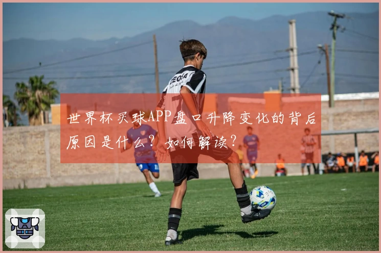 世界杯买球APP盘口升降变化的背后原因是什么？如何解读？