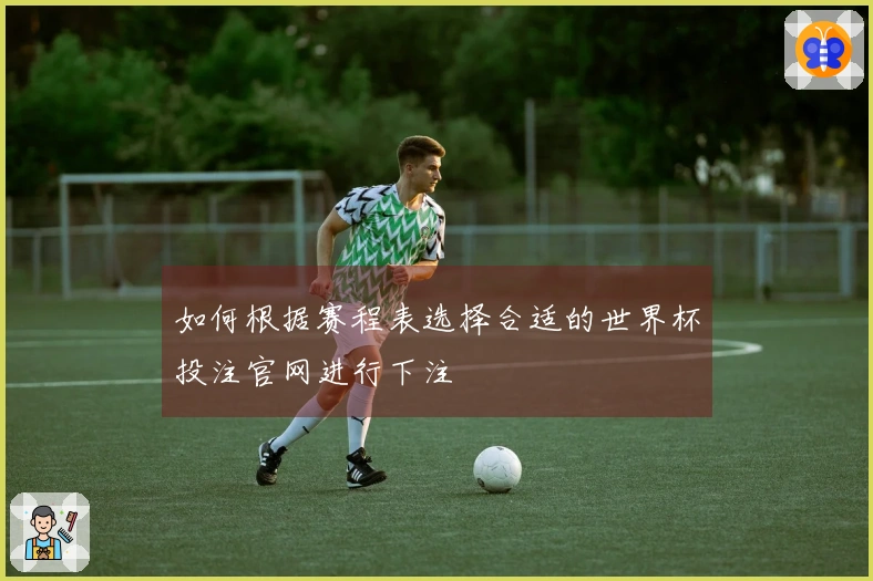 如何根据赛程表选择合适的世界杯投注官网进行下注