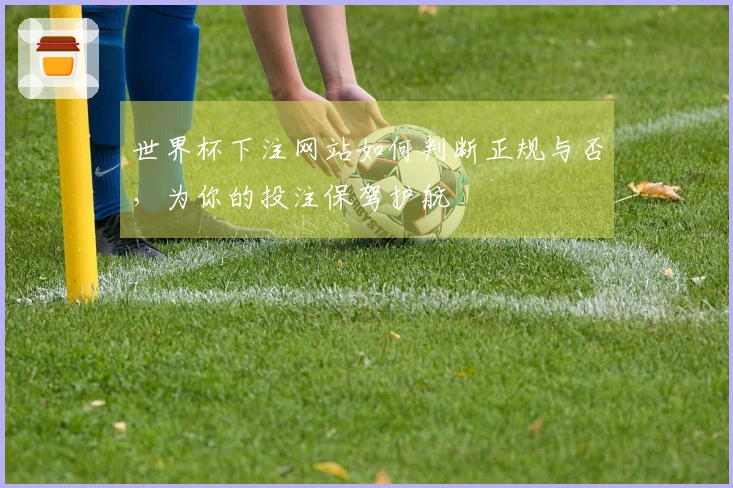 世界杯下注网站如何判断正规与否，为你的投注保驾护航