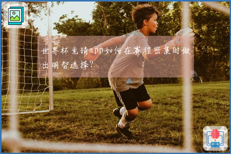 世界杯竞猜app如何在赛程密集时做出明智选择？