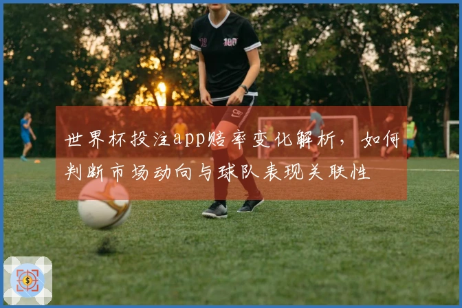 世界杯投注app赔率变化解析，如何判断市场动向与球队表现关联性