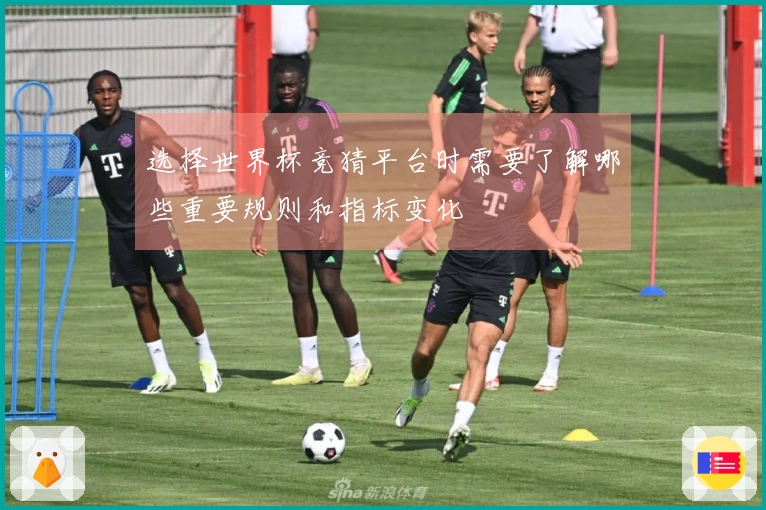 选择世界杯竞猜平台时需要了解哪些重要规则和指标变化