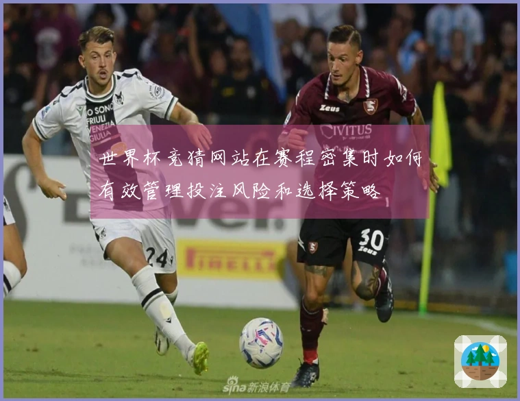 世界杯竞猜网站在赛程密集时如何有效管理投注风险和选择策略